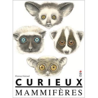 Curieux mammifères