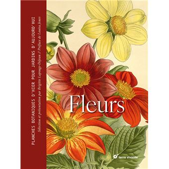 Fleurs
