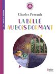 La belle au bois dormant