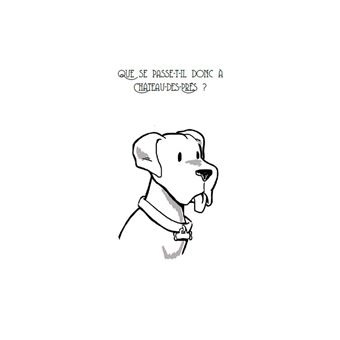 Mystère à Château-Des-Prés