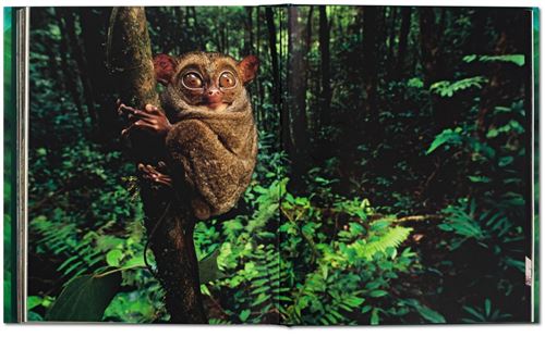 Frans Lanting. Jungles - broché - Frans Lanting, Collectif, Livre