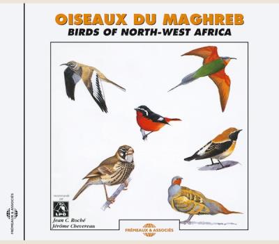 Oiseaux du Maghreb Inclus un livret de 24 pages