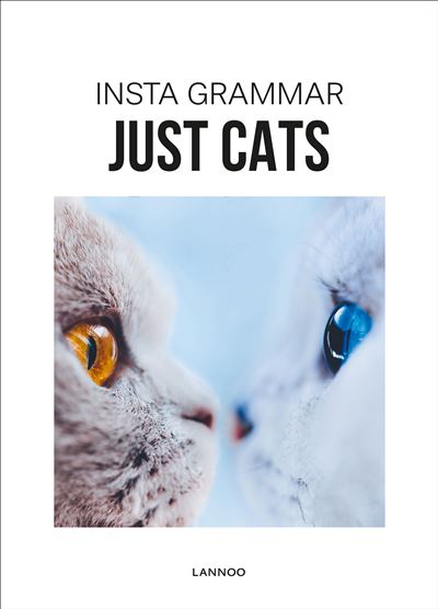 Insta Grammar - Just Cats
