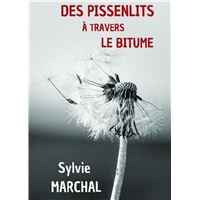 Des pissenlits à travers le bitume