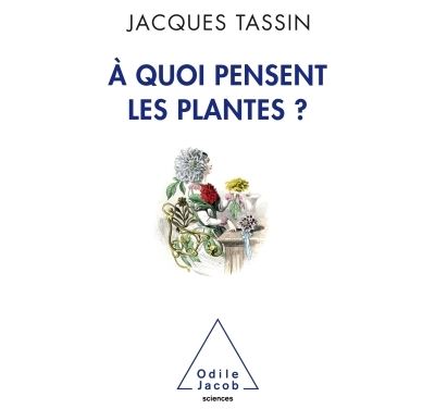 A quoi pensent les plantes