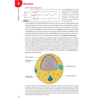 LAS - Licence Accès Santé - Tome 1 - 2e édition