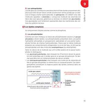 LAS - Licence Accès Santé - Tome 1 - 2e édition