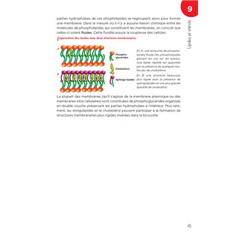 LAS - Licence Accès Santé - Tome 1 - 2e édition