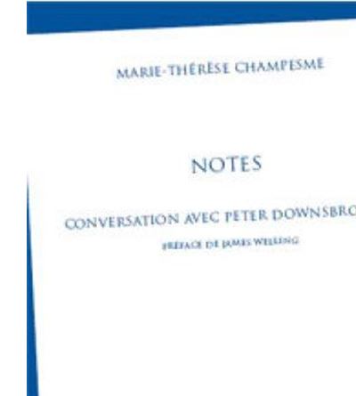 Conversation Avec Peter Downsbrough