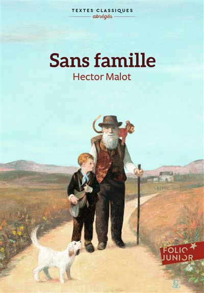 Sans Famille Texte Abr g Poche Hector Malot Achat Livre Ou Ebook 