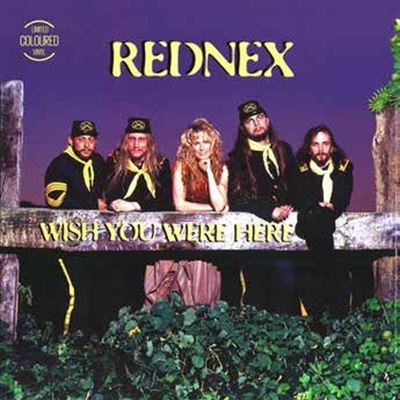 Wish You Were Here Vinyle Bleu