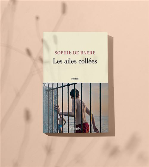 Les Ailes Collees Broche Sophie De Baere Achat Livre Ou Ebook Fnac