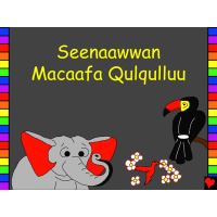 Seenaawwan Macaafa Qulqulluu