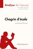 Chagrin d'école de Daniel Pennac (Analyse de l'oeuvre)