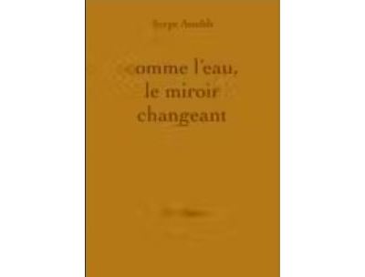 Comme l'eau, le miroir changeant - Serge Airoldi - broché