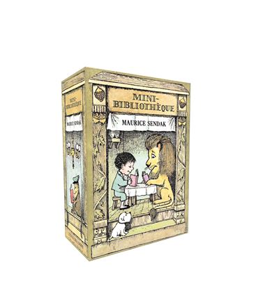 Mini bibliothèque