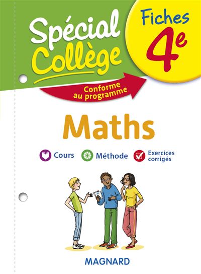 Spécial Collège Fiches Maths 4e - Stéphane Renouf - broché