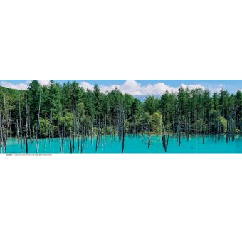 Japon - Un voyage en images