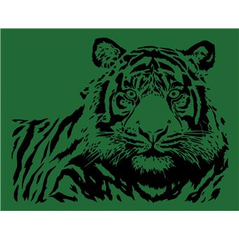 Les ateliers d'Antoine Guilloppé - Cartes à gratter animaux de la jungle - pochette avec accessoires