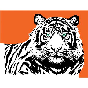 Les ateliers d'Antoine Guilloppé - Cartes à gratter animaux de la jungle - pochette avec accessoires