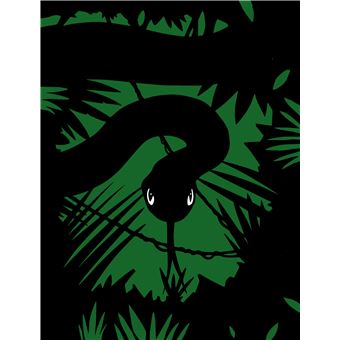 Les ateliers d'Antoine Guilloppé - Cartes à gratter animaux de la jungle - pochette avec accessoires