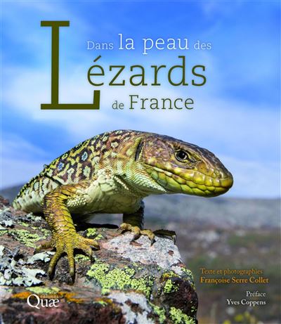 Dans la peau des lezards de france