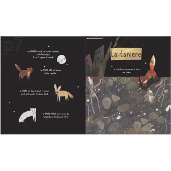 Les maisons des animaux
