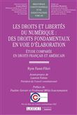Les droits et libertés du numérique : des droits fondamentaux en voie d'élaboration
