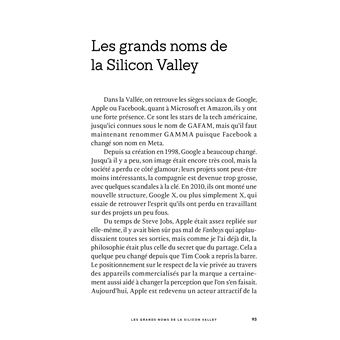 Un Français dans la Silicon Valley