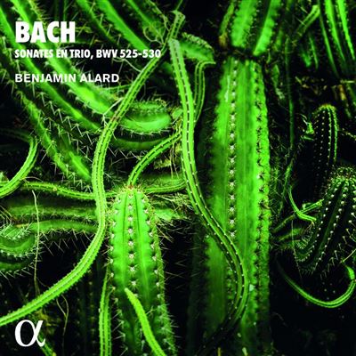 BACH: SONATES EN TRIO, BWV 525-530