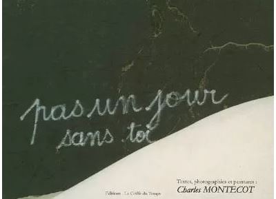 Pas un jour sans toi