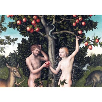 Arbres. Coffret l'essentiel