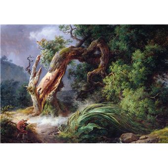 Arbres. Coffret l'essentiel