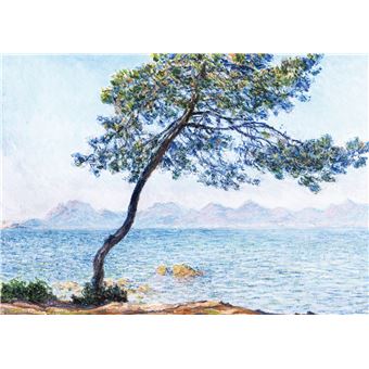 Arbres. Coffret l'essentiel