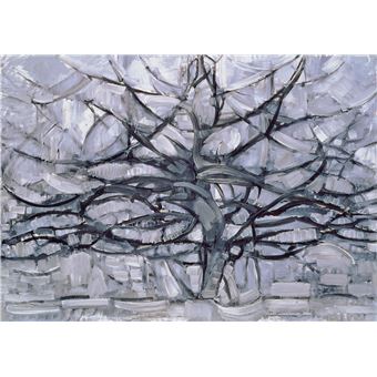 Arbres. Coffret l'essentiel