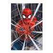 Poster Marvel Spider-Man Gotcha