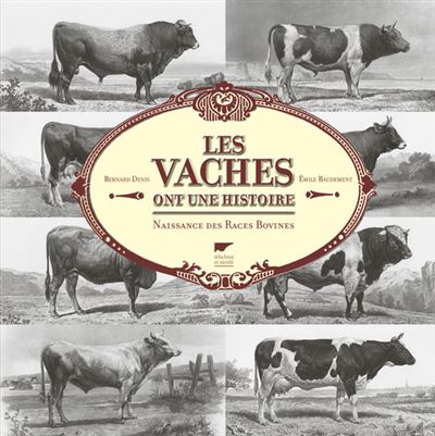 Les vaches ont une histoire