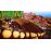 All-Star Fruit Racing Nintendo Switch_6