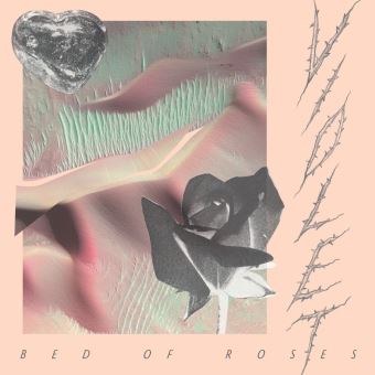 Violet - 1