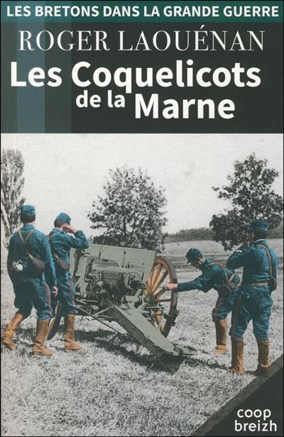 Les coquelicots de la marne (version 2018)