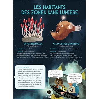 Découvre les animaux marins en BD