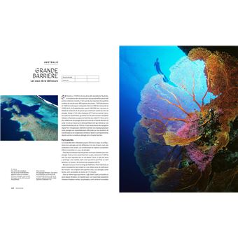 Le tour du Monde en 80 plongées