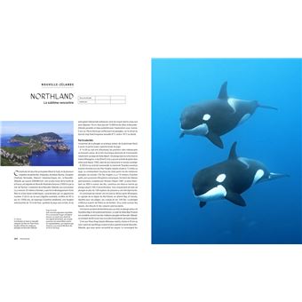 Le tour du Monde en 80 plongées