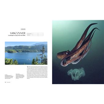 Le tour du Monde en 80 plongées