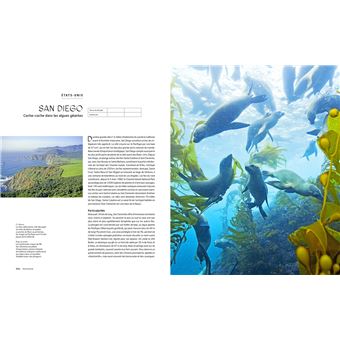 Le tour du Monde en 80 plongées