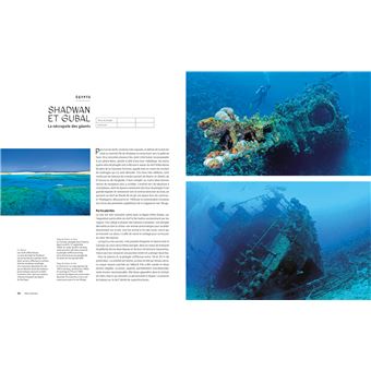 Le tour du Monde en 80 plongées