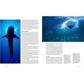 Le tour du Monde en 80 plongées