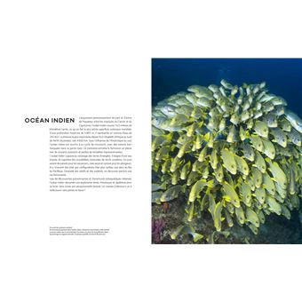 Le tour du Monde en 80 plongées