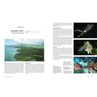 Le tour du Monde en 80 plongées