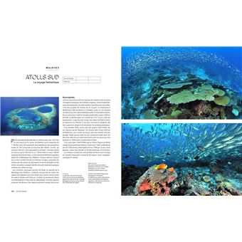 Le tour du Monde en 80 plongées